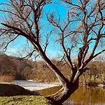 Σπίτι διακοπών Theriverside Mellet