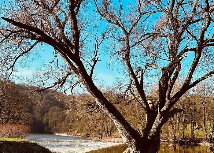 Сasa de vacaciones Theriverside Mellet