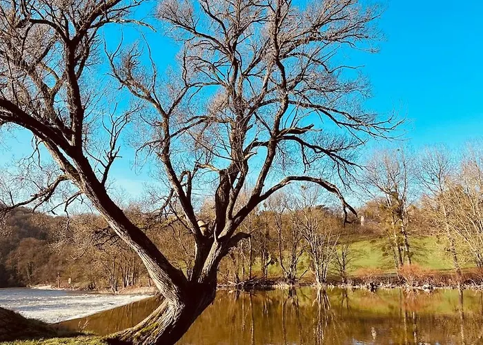 Theriverside Сasa de vacaciones Mellet